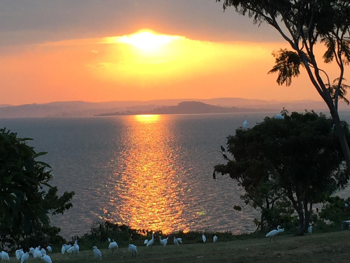 Samuka Island Retreat Villa Jinja Exteriör bild